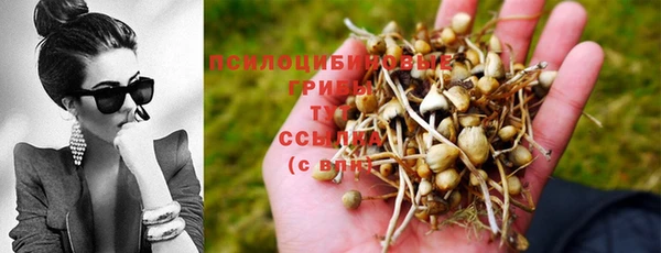 герыч Абдулино