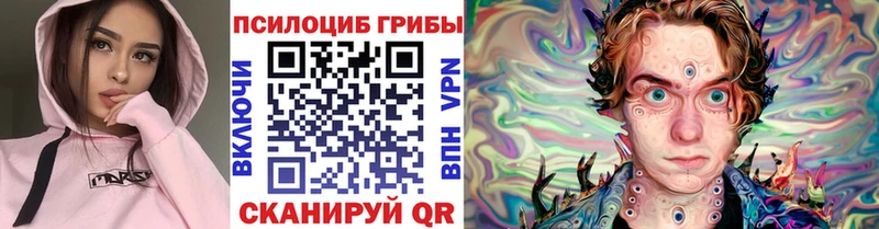 Галлюциногенные грибы Psilocybine cubensis Кумертау