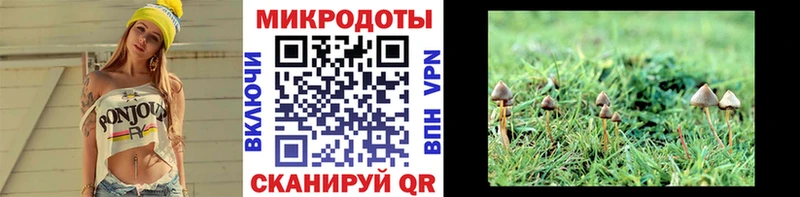 Псилоцибиновые грибы Magic Shrooms  купить наркотик  Кумертау 
